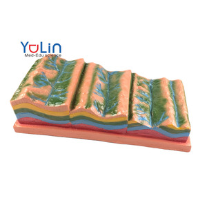 Modelo de enseñanza de Geografía de Ciencias Médicas de estructura de pliegue y su evolución geomórfica para equipos educativos - Product Image 1