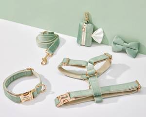 ชุดสายจูงสุนัขและสายจูงสุนัข sagegreen Veet ตามต้องการสายจูงสุนัข + ปลอกคอ + หูกระต่าย + ที่ใส่ถุงปูไม่มีสายรัดสำหรับงานแต่งงาน - Product Image 1