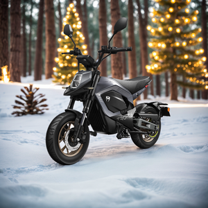 Vélo électrique de montagne haut de gamme TROMOX MINO B US Warehouse 2500W 60V 31AH Minielectric, moto électrique, moto tout-terrain électrique - Product Image 1