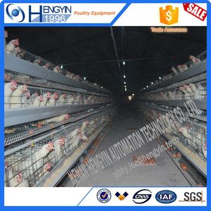 Nouvelle <span class=keywords><strong>promotion</strong></span> cage à poulets/poulaillers d'occasion équipement agricole cage à poulets de chair - Product Image 2