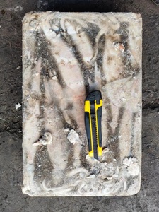 Ken010 100-400g + Chất lượng cao New Arrival illex mực đông lạnh mực - Product Image 2