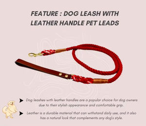 Guinzaglio per Cani Modern Classics con Impugnatura in Pelle, Corda in Nylon Ecologica, Accessori per Animali Domestici - Product Image 5