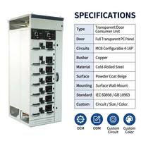 Wanbo-206 - Caja de Distribución de Superficie Transparente con Puerta, Interruptores MCB, Barra Colectora de Cobre, Riel DIN, Estándar IEC, OEM Personalizado