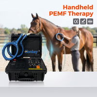 Machine PEMF pour animaux de compagnie, directement de l'usine, stabilise l'état émotionnel, soulage le stress, machine de thérapie PEMF pour centre de réadaptation animale