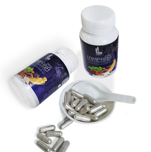 Complément alimentaire naturel thaïlandais pour adultes, capsules de nutrition à base de racine de kudzu, stimulant énergétique masculin - Product Image 2