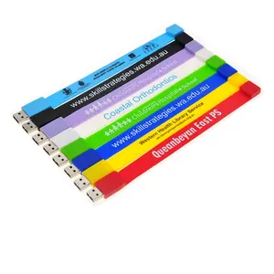 Silicone armband custom logo 8gb bracelet usb flash drive usb key LFN-216