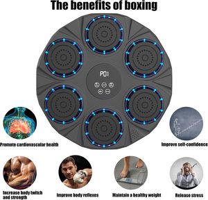 Machine d'entraînement de boxe intelligente RS avec musique, cible de boxe, mannequin de frappe, machine de boxe musicale intelligente murale - Product Image 2