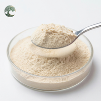 Poudre d'extrait d'orchidée Dendrobium Salep 100% naturelle de qualité alimentaire, racine séchée, supplément en fût de 1 kg
