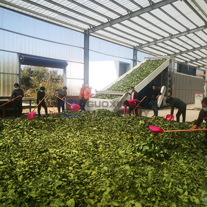 Équipement de séchage à bande maillée haute capacité pour la vente directe, idéal pour les haricots cowpea, les haricots longs et les gousses de haricots ailés - Product Image 6