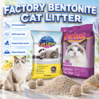 Litière pour chat en bentonite écologique à prix compétitif, 99 % sans poussière, agglomération rapide, contrôle des odeurs, pour la vente en gros