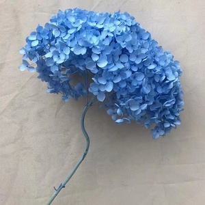 Bán Buôn Trang Trí Hoa Khô Hoa Tú Cầu Hoa Màu Hồng Nhỏ Lá Anna Bảo Quản Tú Cầu Với Duy Nhất Dài Thân Cây - Product Image 6