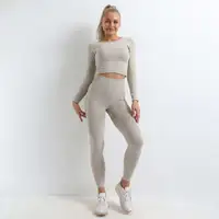 Frauen Sport Wear Kleidung Langarm Crop Top Yoga Leggins Workout zweiteilig nahtlos Set Yoga