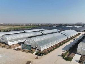 Pannello <span class=keywords><strong>di</strong></span> alluminio regolabile Versatile a doppio uso del PC della struttura della serra solare per la coltivazione su piccola scala per l'azienda agricola domestica - Product Image 6