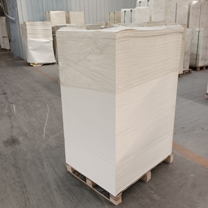 Lámina de Cartón con Revestimiento de PE de Grado Alimenticio, Personalizable con Logotipo, de Una o Dos Capas, Resistente a la Grasa, para Vasos, Cartón Especial para Papel de Hornear - Product Image 2