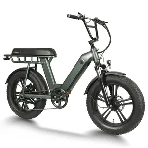 GreenPedel Chinese manufacturer electric bicycle 48v 750w fat tire cargo ebike for sale