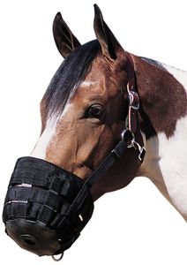 Bozal de nailon duradero para caballos con acolchado suave para un uso diario cómodo a largo plazo - Product Image 6