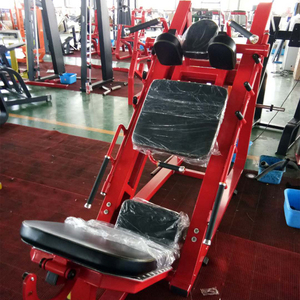 Appareil de fitness en métal stable pour entraînement de force : Machine combinée Leg Press et <span class=keywords><strong>Hack</strong></span> Squat pour la musculation - Product Image 2