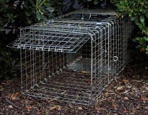 Chuột Lồng Động Vật Gặm Nhấm Kiểm Soát Động Vật Bắt Mồi Hamster Chuột Bẫy Nhân Đạo Sống - Product Image 3