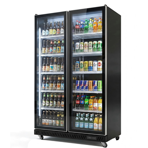 Réfrigérateur commercial vertical avec porte vitrée pour boissons, idéal pour les magasins - Fournisseur direct usine - Product Image 1