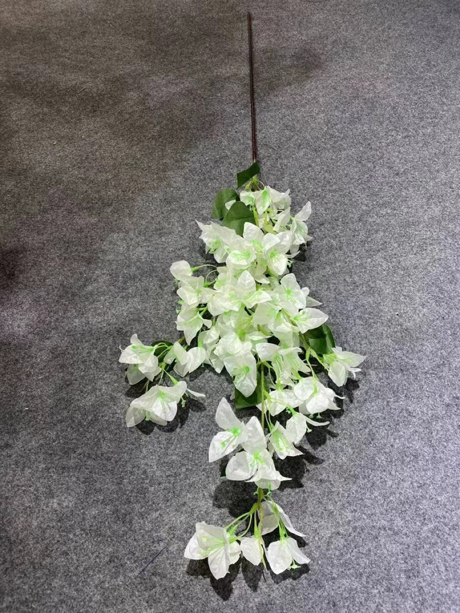 Bianco-4