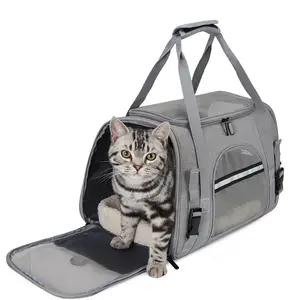 Waterproof Wholesale Luxury Airline Approved Pet Bag Carrier Dog Walking Cat Treat Training Pouch Travel Bag