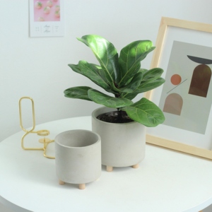 <span class=keywords><strong>De</strong></span> alta calidad <span class=keywords><strong>de</strong></span> <span class=keywords><strong>cemento</strong></span> planta verde <span class=keywords><strong>macetas</strong></span> cactus pot <span class=keywords><strong>con</strong></span> <span class=keywords><strong>patas</strong></span> <span class=keywords><strong>de</strong></span> <span class=keywords><strong>madera</strong></span> para jardín <span class=keywords><strong>de</strong></span> Casa Decoración - Product Image 2