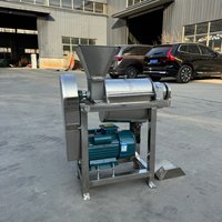 Commerciële sapcentrifuge voor ananas, mango, bosbes en druiven