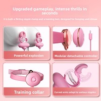 Yunman Xuanwu Nippelklemmen Vibrations-Bruststimulations-Halsband SM-Trainingsausrüstung USB-Aufladbares Sexspielzeug