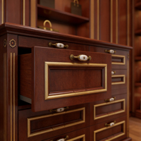Closet Personalizável Estilo Europeu |   Acabamento Dourado em Madeira Compensada |   Organizador de Gavetas para Closet de Luxo com 5+ Gavetas