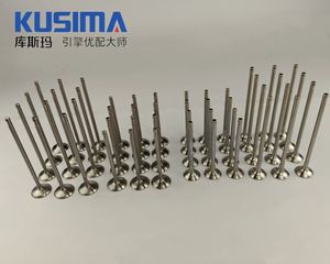 Fabrik Auto-Motor Einlassventil Auslassventil Motorventil für Audi A8 W12 6.0 022109601E 022109601F 022109611B 022109611C - Product Image 1