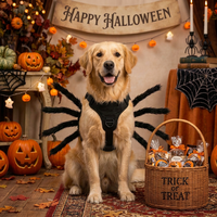 Costume d'Halloween pour animaux de compagnie : Araignée réaliste avec 8 pattes en fourrure, col ajustable, design de dessin animé, en feutre doux de 3 mm pour chat et chien