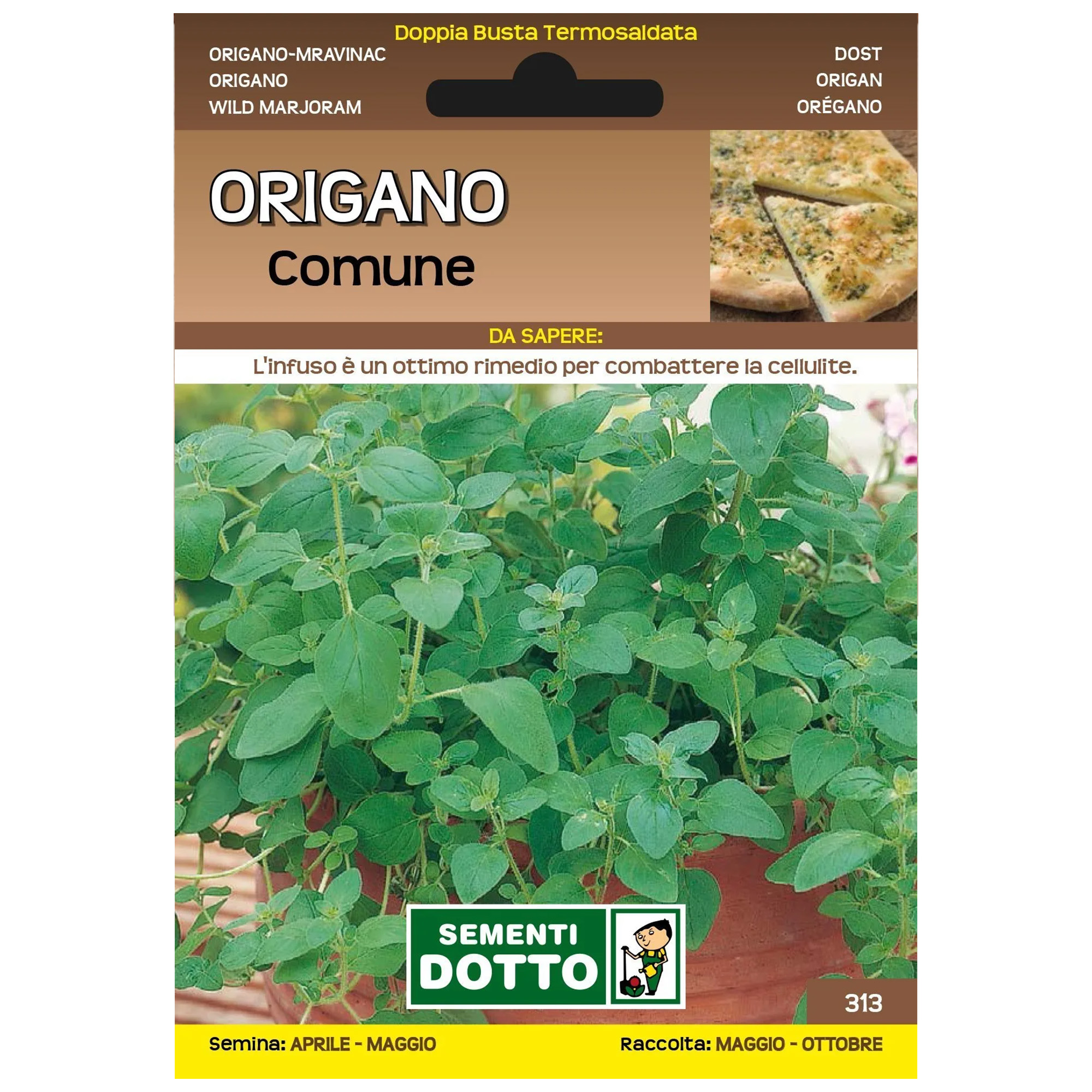 cuban oregano seed