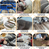 Extensions de cheveux I-Tip Haohao, Remy Double Drawn, Pré-collées, Qualité Salon, Vente en Gros