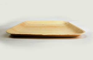 Plato Rectangular de Hoja de Areca de 6x9 Pulgadas, Ecológico, Biodegradable, Desechable, para Catering, Restaurantes y Proveedores - Product Image 2