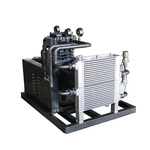 Z Type Oxygen Natural Gas Booster O2 N2 H2 Booster High Pressure Industrial Compressor with CE Certification