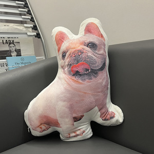 Coussins en peluche personnalisés de haute qualité en forme d'animaux mignons, oreillers de lecture et de repos pour lit - Product Image 1