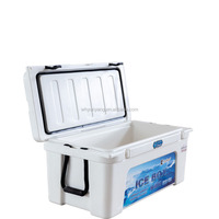 Glacière médicale TOLEE 60 litres avec fonction thermique isolante en PP pour laboratoires, aliments, pêche, camping, impression de logo personnalisable