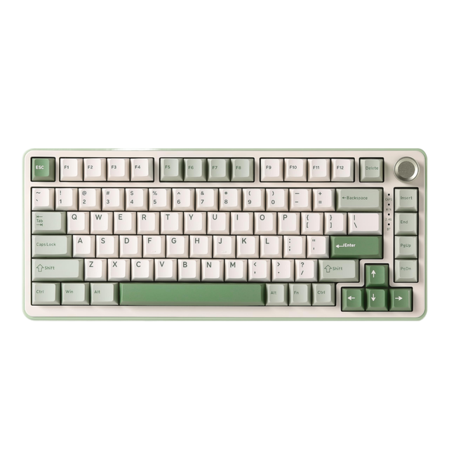 68 Keys Mechanical Gaming Keyboard RGB Backlit PBT Keycaps Type-C 2.4G Keys and RGB
