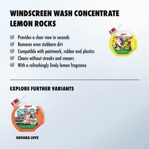 Limpiador de Discos Profesional Concentrado Lemon Rocks (3 Litros) Líquido Limpiaparabrisas para Autos - Product Image 2