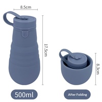Bouteille d'eau portable pliable en silicone léger sans BPA 18OZ/500ML pour sports de plein air – En stock
