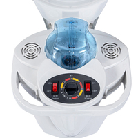 Vaporizador de Cabello Portátil, Comercial, Digital, Automático y Duradero FYD con Luces LED para Tratamiento Capilar