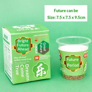 Boîte mystère <span class=keywords><strong>de</strong></span> plantes en pot en plastique pour enfants <span class=keywords><strong>de</strong></span> <span class=keywords><strong>maternelle</strong></span>, graines <span class=keywords><strong>de</strong></span> fleurs – Petit cadeau créatif pour les 7-12 ans, <span class=keywords><strong>décoration</strong></span> <span class=keywords><strong>de</strong></span> bureau - Product Image 6