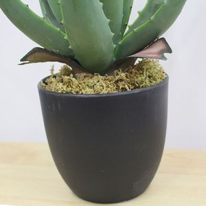 Hot <b>Sale</b> Plastic Artificial <b>Aloe</b> <b>Vera</b> Bonsai <b>Plants</b> Real Touch Eco-Friendly <b>for</b> Easter Indoor Decoration - Product Image 6