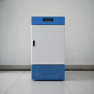 Camera di prova dell'incubatore climatico artificiale RGX-460B per la germinazione delle piante artificiali intelligenza artificiale - Product Image 6