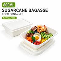 Conteneur alimentaire en bagasse de canne à sucre de 800 ml avec couvercle, boîte à lunch jetable biodégradable pour la restauration