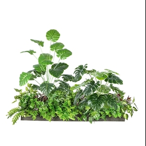 Real Touch Intérieur Plantes Artificielles En Plastique Verdure Décor Nouvel An; Bonsaï De Noël Arbuste Bananier Palmier Espace Extérieur - Product Image 6