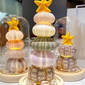 Kit de bricolage pour lampe de nuit en forme de coquille d'ormeau, décoration féminine, fête des mères et anniversaire - Product Image 3
