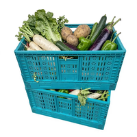 Caisse de courses pliable multifonctionnelle en plastique bleu avec poignées, idéale pour le rangement quotidien