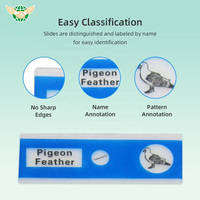 Children's Plastic Blue Prepared Microscope Slides Biological Animals Specimen Plants Insects Flowers Sample Accessories