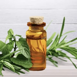 Wholesale Pure Melaleuca Tea <b>Tree</b> Oil Undiluted Antibacterial Plant Extract for Soap <b>Face</b> Cleanser Factory Price - Product Image 4